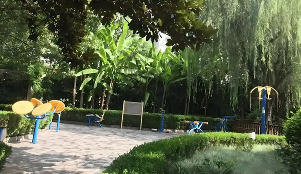 奔跑吧，丫鬟：拿下腹黑王爷
